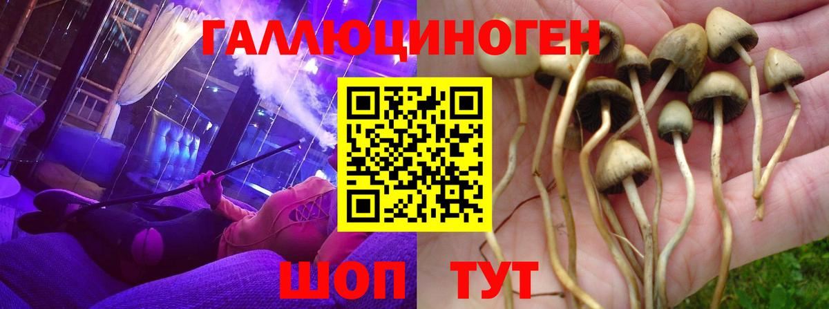 Курган  Псилоцибиновые грибы GOLDEN TEACHER  Вход с VPN  Псилоцибиновые грибы мухоморы 
